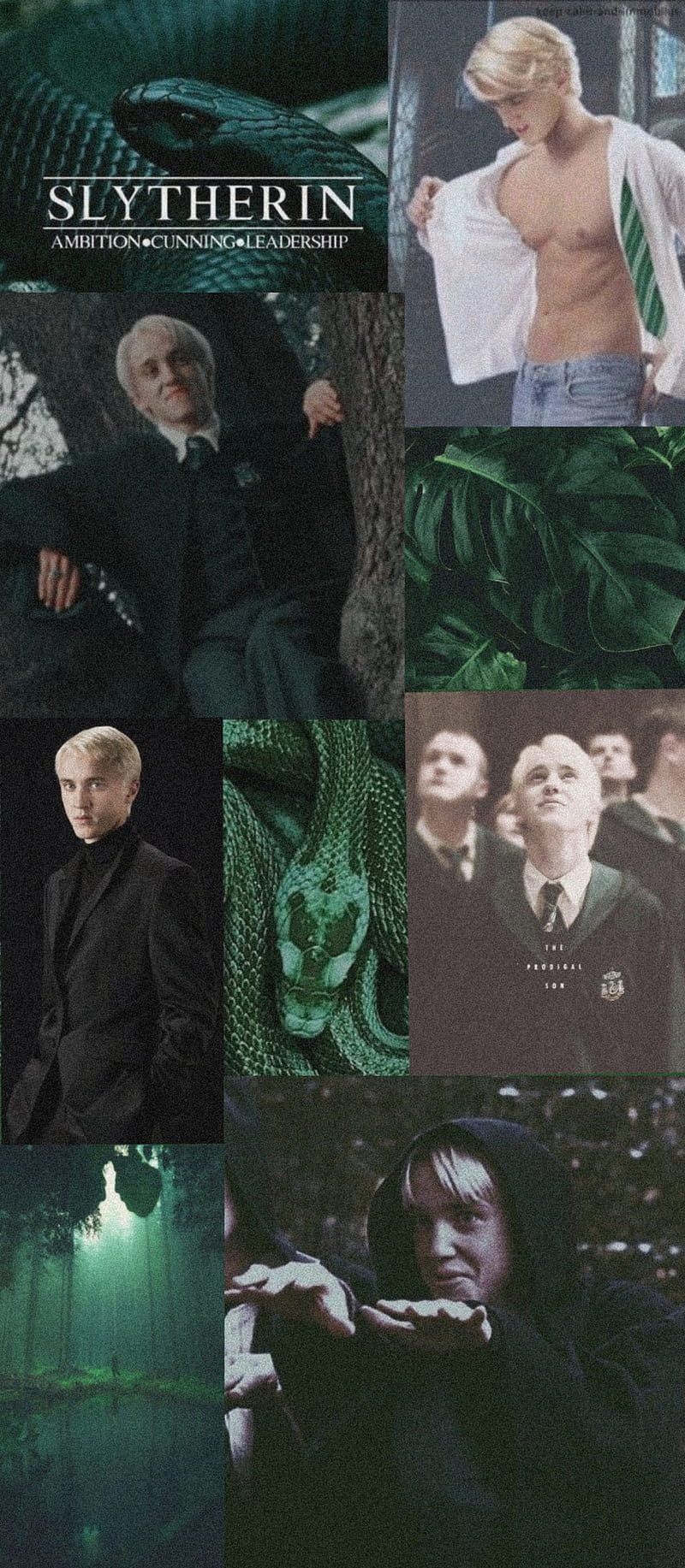 Draco Malfoy , slytherin, tom felton, HD phone wallpaper