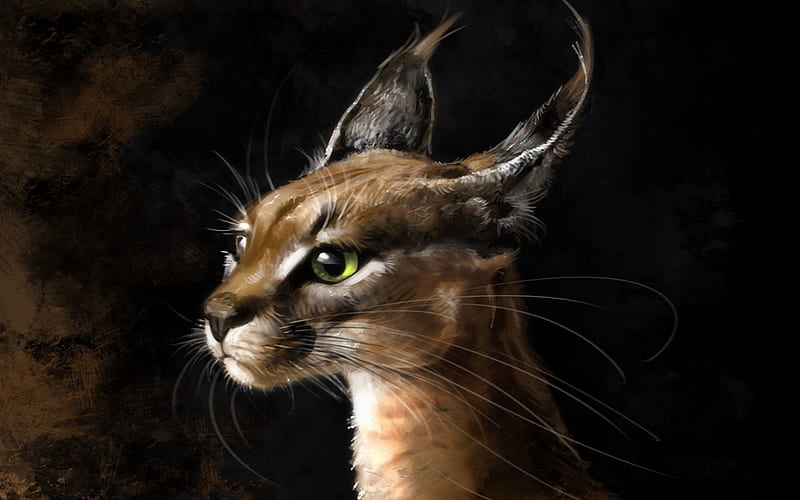 Lynx, fantasy, vera velichko, luminos, black, cat, eyes, pisici, HD wallpaper
