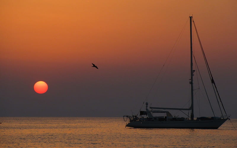 Sunset in Sicily, Italy, sunset, bird, yacht, sea, Italy, HD wallpaper