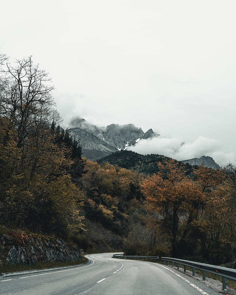 road, mountains, turn, trees, clouds, HD phone wallpaper