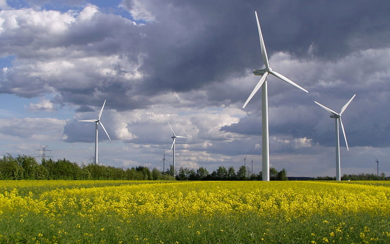 Wind Turbines in Germany, Germany, rapeseed, wind turbines, field, landscape, HD wallpaper