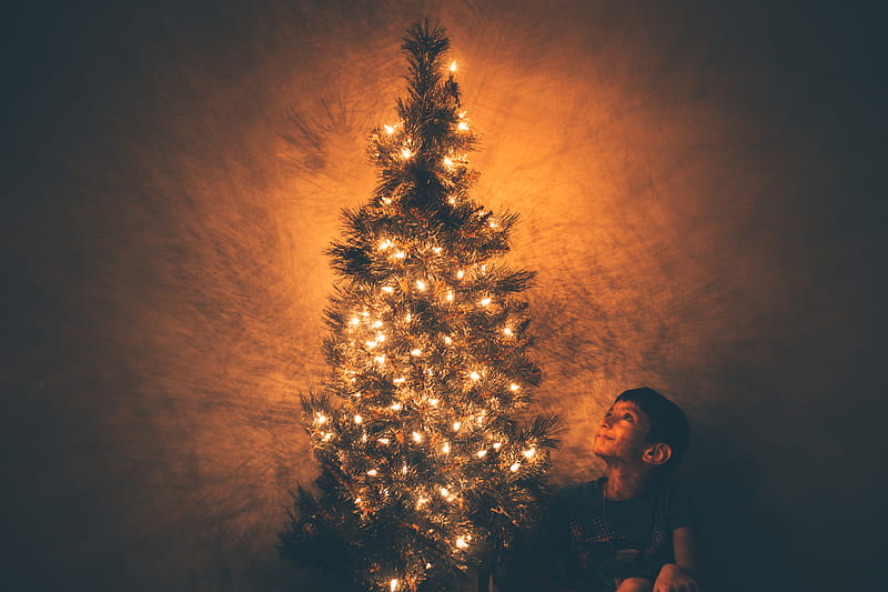 smiling boy beside Christmas tree with lighted string lights, HD wallpaper
