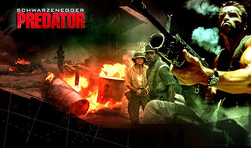 Predator, arnold, schwarzenegger, movie, HD wallpaper