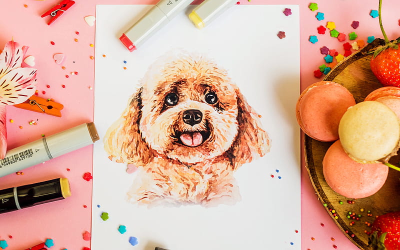 graphy, Still Life, Dog, Drawing, Macaron, Marker, HD wallpaper