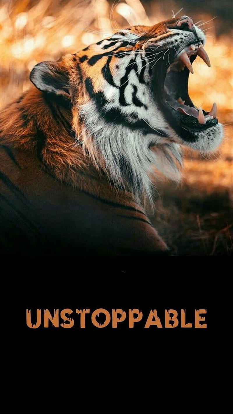 Unstoppable, animal, sayings, teeth, tiger, wild, HD phone wallpaper