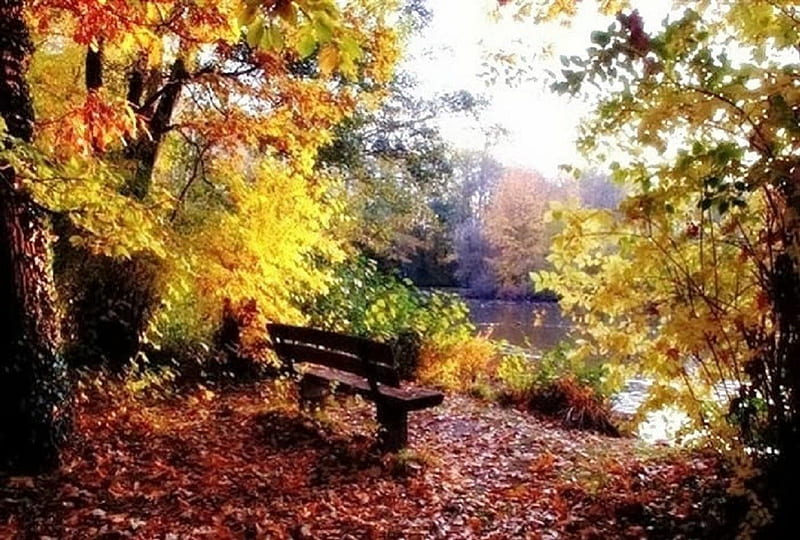 Beautiful Autumn Bench, autumn, water, bench, park garden, nature, bonito, HD wallpaper