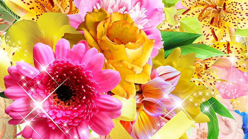 Spring Summer Miracles, stars, colors, spring, floral, sumer, bright, flowers, garden, Firefox Persona theme, HD wallpaper