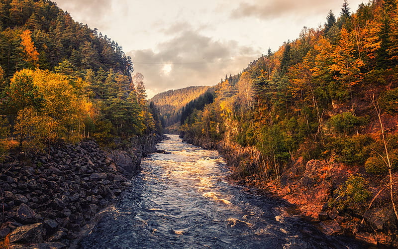 autumn landscape, river, autumn, yellow trees, forest, stones, mountain landscape, mountain river, HD wallpaper