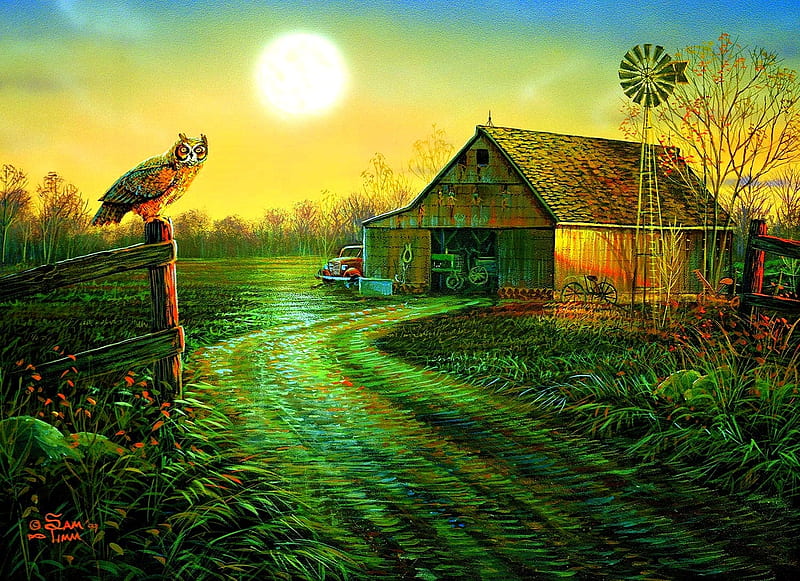 Late Summers Eve, paintings, love four seasons, farms, birds, summer, attractions in dreams, nature, owl, sunsets, fields, HD wallpaper