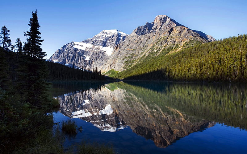 9 Jasper National Park-Cavell Lake, HD wallpaper