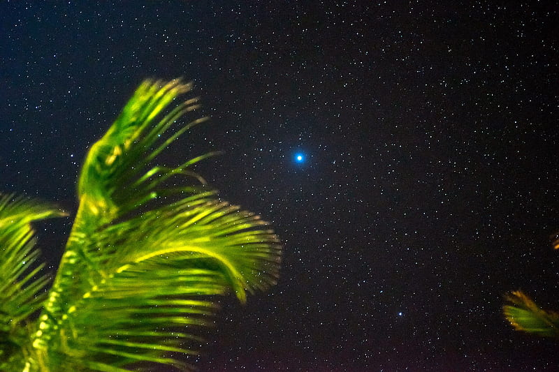 Earth, Night, Mauritius, Starry Sky, Stars, HD wallpaper