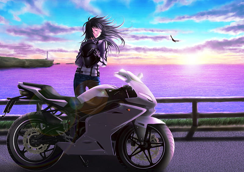 Iron Horse Princess, pretty, scenic, bonito, motorbike, motorcycle, sweet,  nice, HD wallpaper | Peakpx