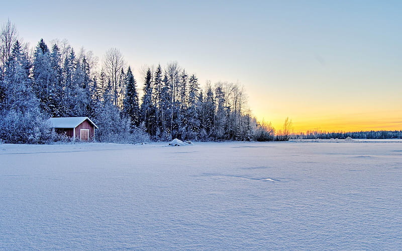 frozen lake-Winter snow scenes, HD wallpaper