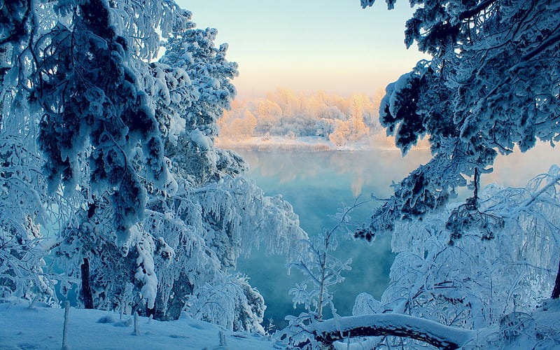 Frozen Winter Lake, snow, nature, trees, frozen, lake, winter, HD wallpaper