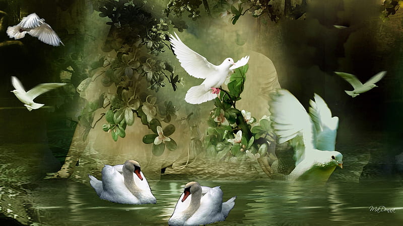 Peaceful Waters, peace, swans, fantasy, water, doves, green, swim, love, flowers, vines, couple, HD wallpaper