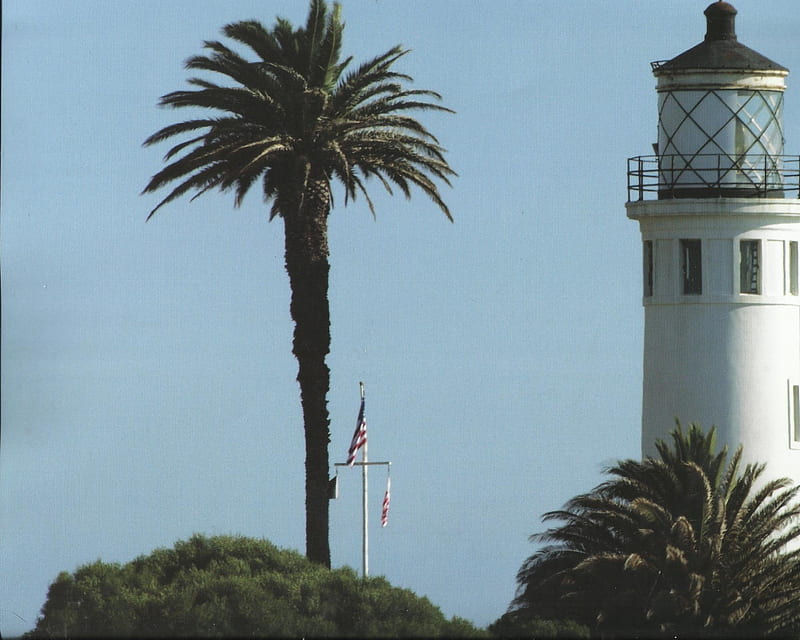 Point Vecente Lighthouse, California, sky, mass, palm tree, lighthouse, HD wallpaper