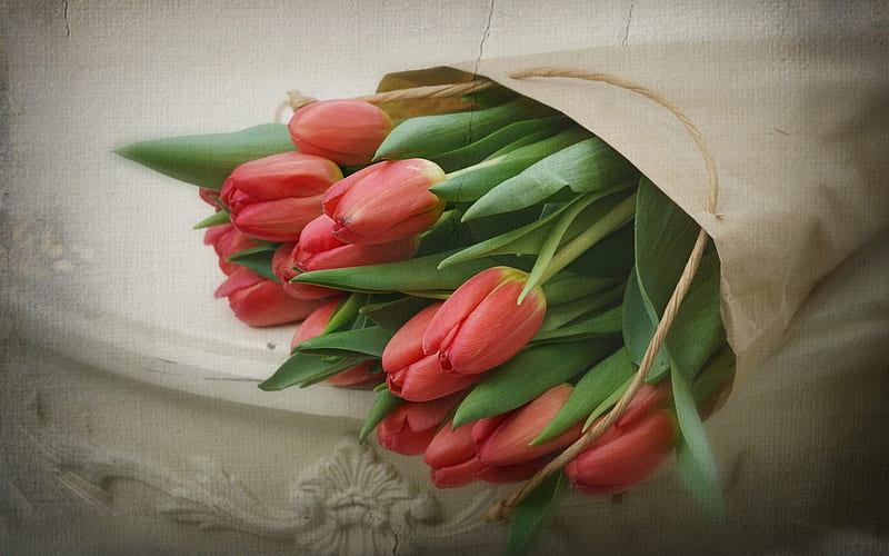 red tulips, bouquet of flowers, retro style, spring flowers, tulips, HD wallpaper