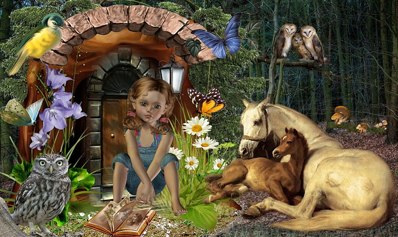 My Secret Place, forest, owl, girl, flower, horse, wood, HD wallpaper