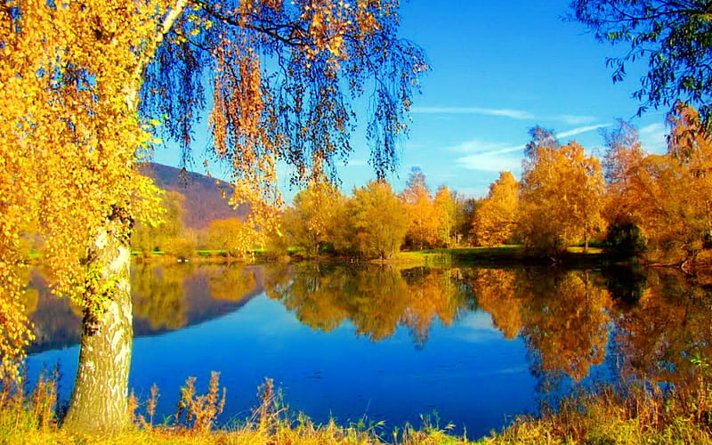 Golden autumn, fall, autumn, golden, bonito, trees, sky, lake, foliage ...