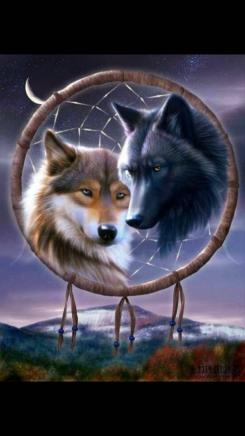 Wolf dreem catcher, dreem catcher, wolves, HD phone wallpaper