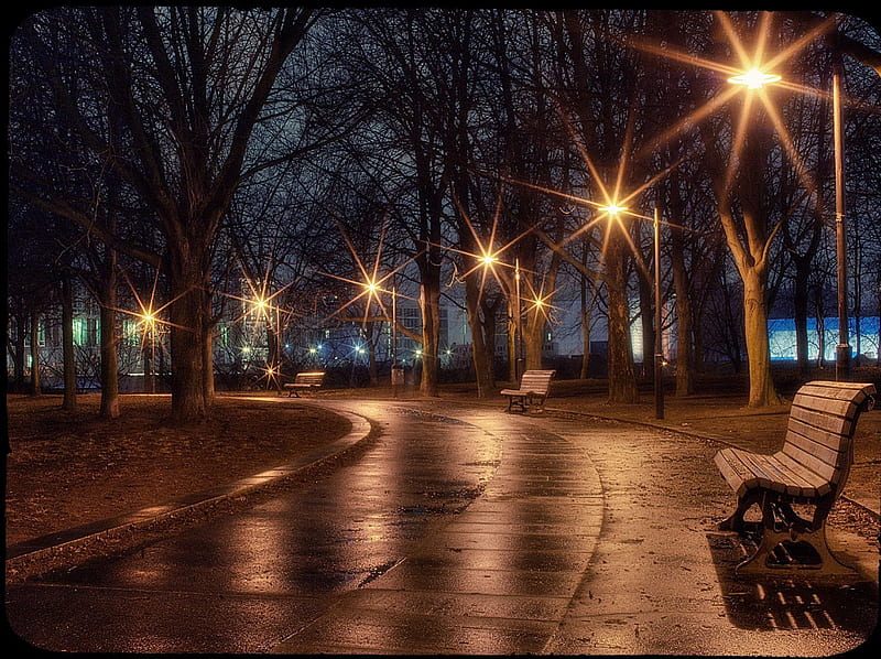 Rainy evening, park bench, benches, street lights, bench, lens flare, evening, lights, rainy, HD wallpaper