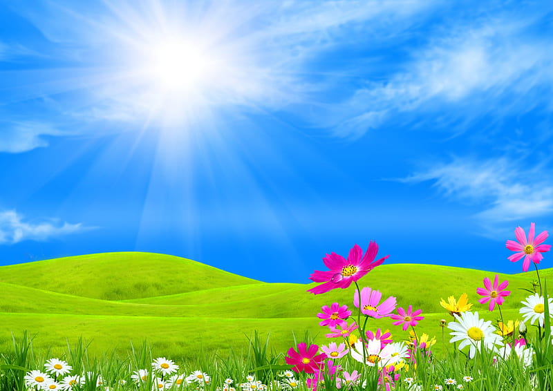 Spring Meadow, green, grass, flowers, spring, sunshine, sky, field, meadow, HD wallpaper