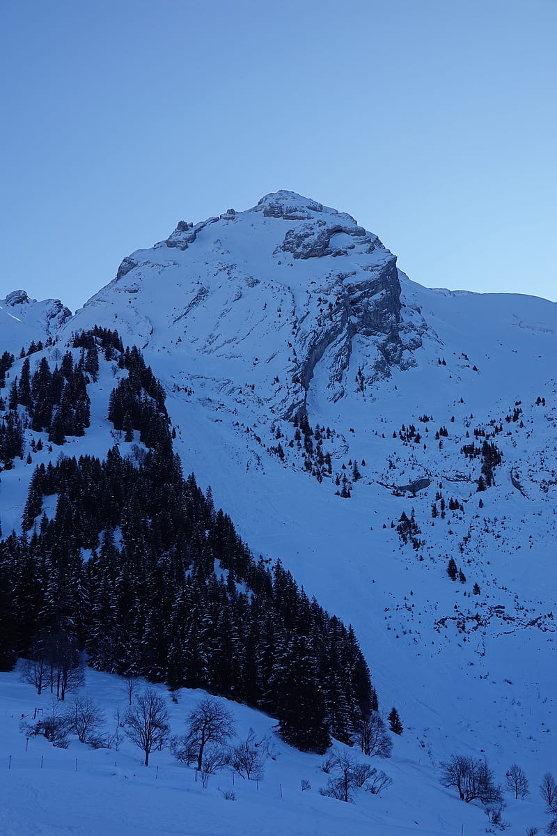 mountains, peak, snow, snowy, trees, HD phone wallpaper