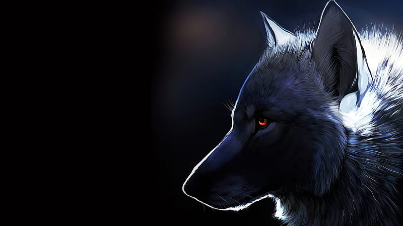 Wolf Glowing Eyes , wolf, animals, HD wallpaper