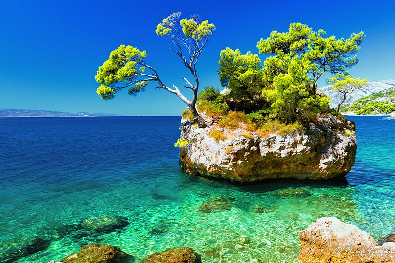 Croatian beach, rock, sea, beach, stones, reflection, blue, rest, vacation, beauitful, clear, Croatia, sky, srystal, tree, water, paradise, summer, HD wallpaper