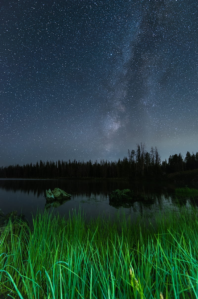 lake, night, starry sky, grass, trees, HD phone wallpaper
