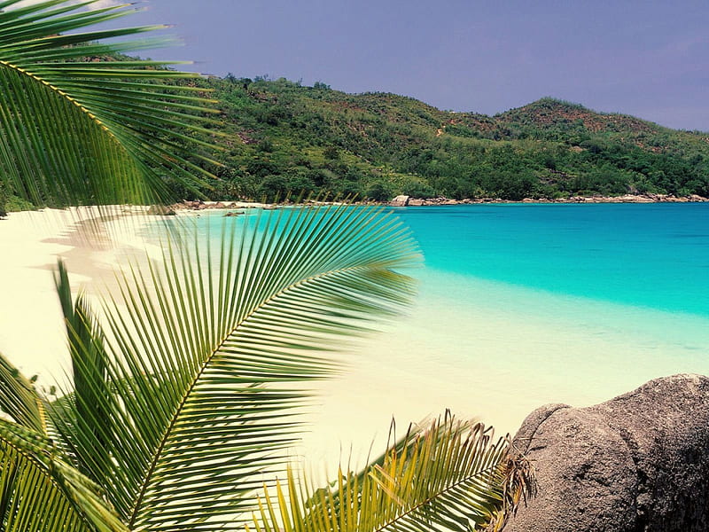 Summer Beach, Jeju Island, white sand, South Korea, bonito, emerald, island, hill, palm trees, sea, HD wallpaper