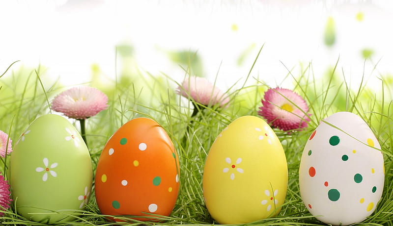 Easter, spring time, easter eggs, splendor, grass, flowers, spring, happy easter, HD wallpaper