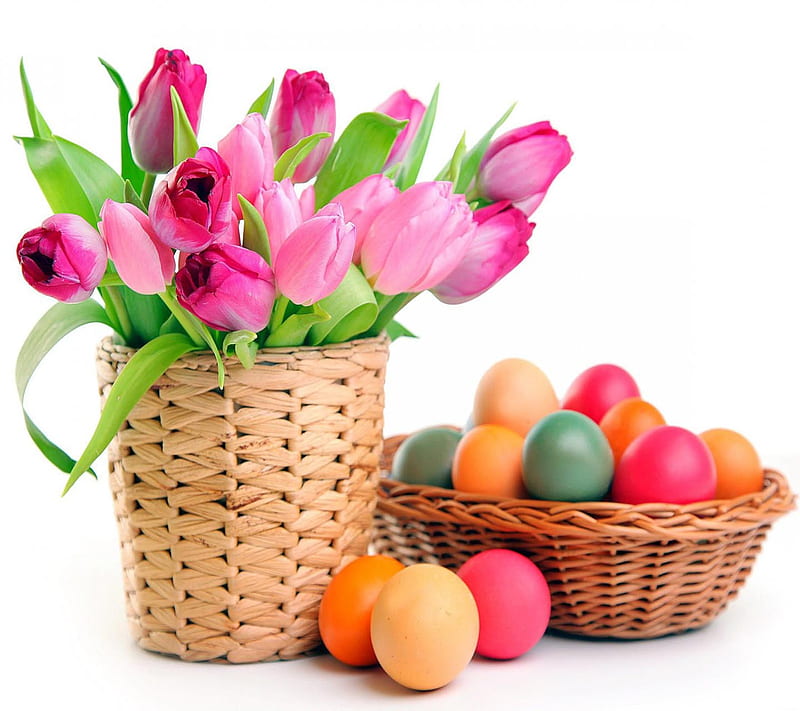 Easter Tulips Eggs, look, nice, HD wallpaper