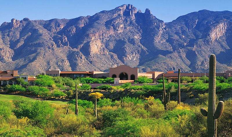 La Paloma Resort, hotels, desert, saguaros, mountains, arizona, cactus, HD wallpaper