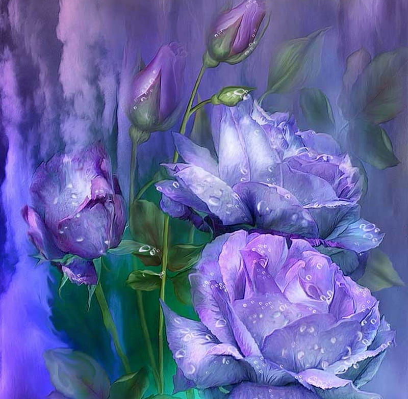 ✫Raindrops on Petals Roses✫, pretty, scents, raindrops, charm, bonito, fragrance, sweet, leaves, blossom, gentle, love, bright, flowers, beauty, blooms, miracle, lovely, colors, roses, buds, softness, cute, cool, purple, bouquet, summer, tender touch, nature, petals, HD wallpaper