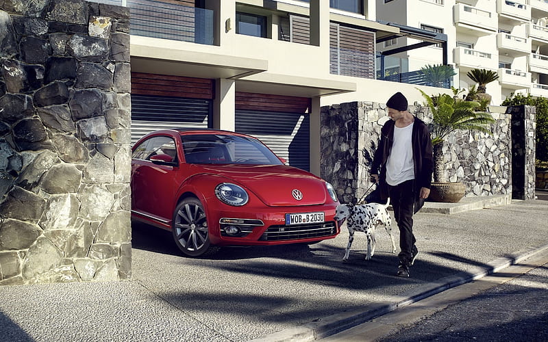 beetle, volkswagen, 2017, hatchback, r-line, HD wallpaper