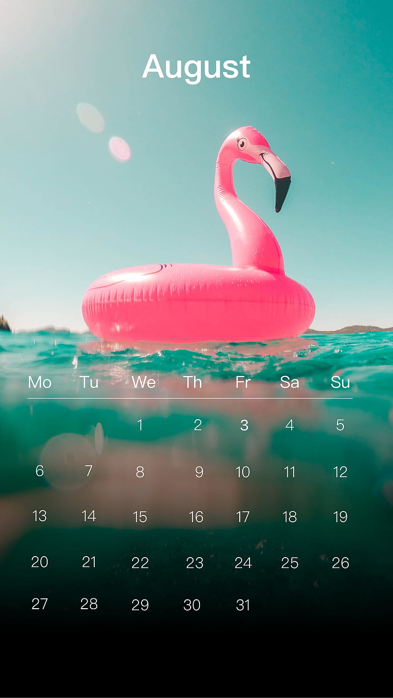 Flamingo August, august, cal, calendar, augcal18, HD phone wallpaper