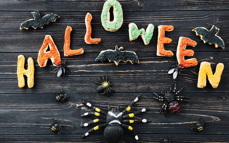 Halloween, October, pumpkin, spiders, Halloween holiday decorations, HD wallpaper
