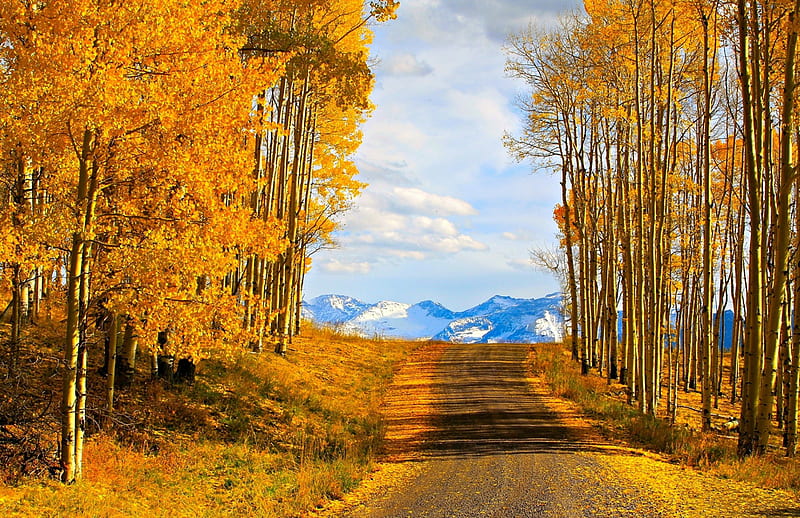 Mountain View, Fall, leaves, snow, mountains, road, trees, clouds ...