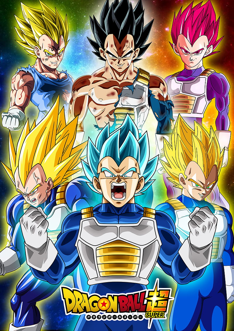 Transformaciones de Vegeta  Anime dragon ball super, Anime dragon ball,  Dragon ball