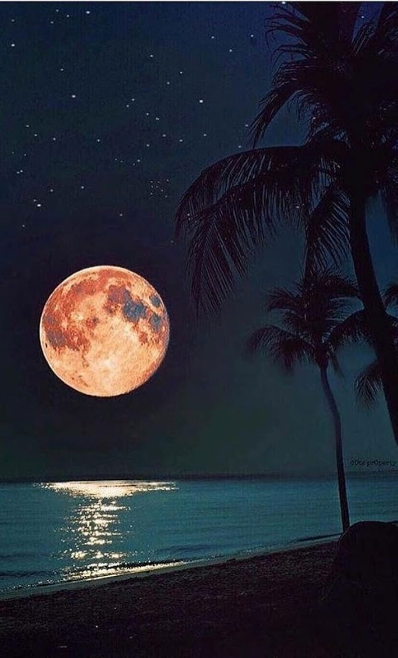 moonshine, moon, ocean, HD phone wallpaper