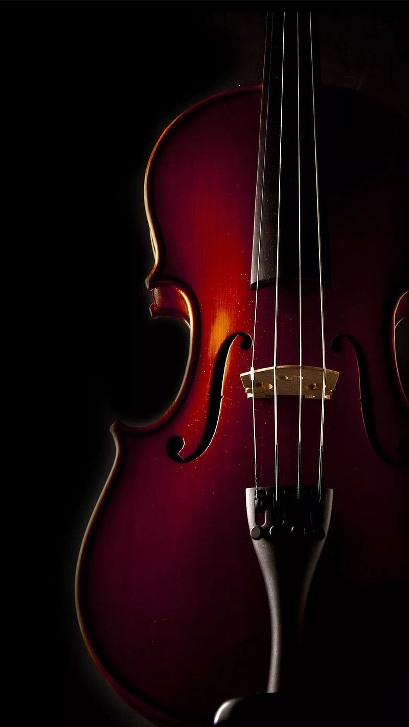 Violin, black, music, strings, wood, HD phone wallpaper