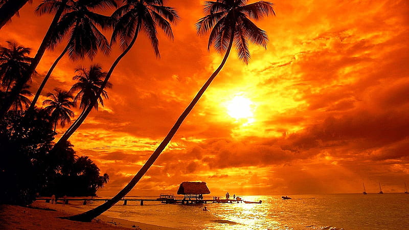 Sunset at Pigeon Point Beach,Caribbean Islands, beach, pier, nature, sunset, island, palm, sky, caribbean, HD wallpaper