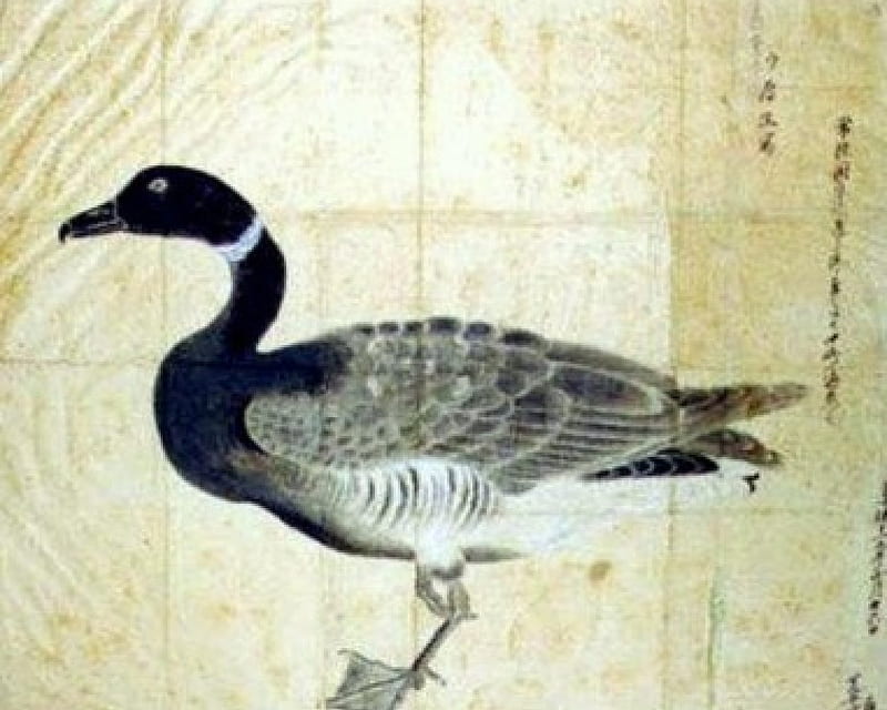 Japanese School - Duck, painting, japan, nineteenth century, wood, HD wallpaper
