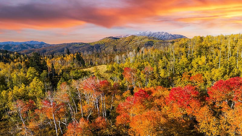 Nebo Loop, Utah, clouds, landscape, trees, colors, autumn, sky, usa, sunset, mountains, HD wallpaper