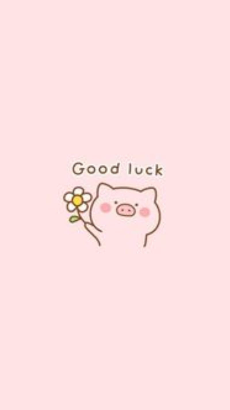 Good luck pig, cute, good luck, pig, pink, HD phone wallpaper