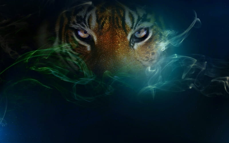 Tiger, fantasy, 3d, cat, abstract, cats, HD wallpaper