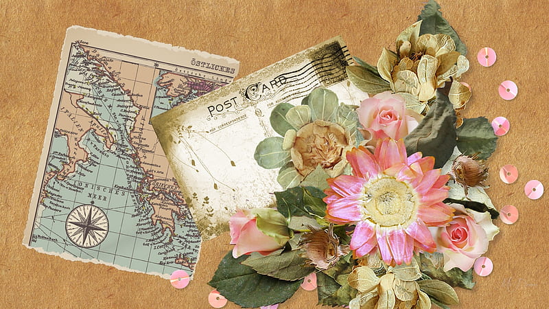 Vintage Notes, vintage, post cards, maps, sequins, notes, flowers, dry flowers, HD wallpaper