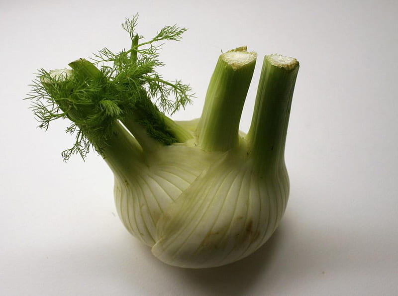 Fennel, graphy, food, comestible, vegetable, culinary, HD wallpaper