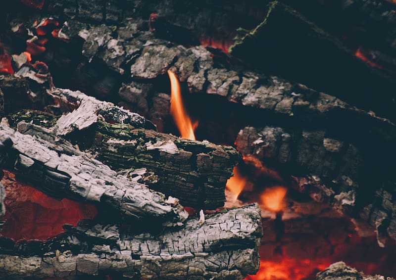 fire, logs, flames, ashes, HD wallpaper